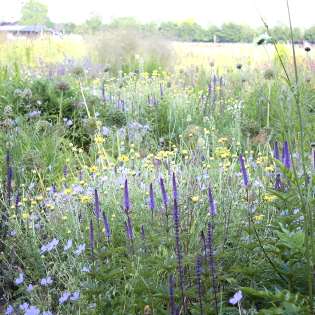 Ogrody naturalistyczne